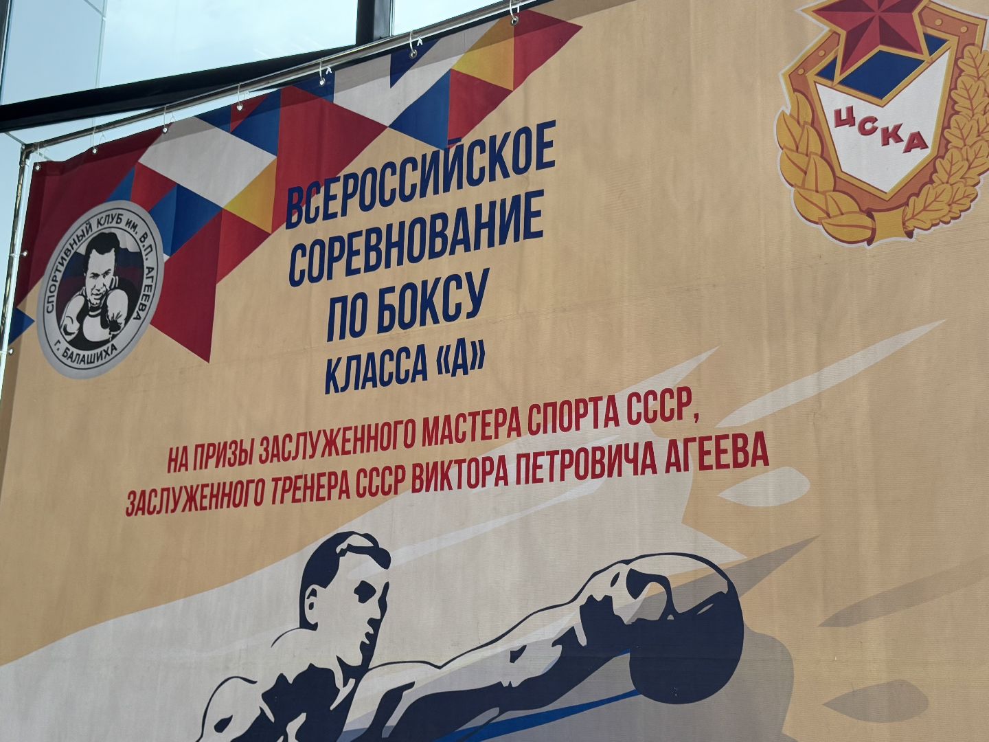 турнир по боксу виктора агеева, спорт, балашиха, ледовый дворец,