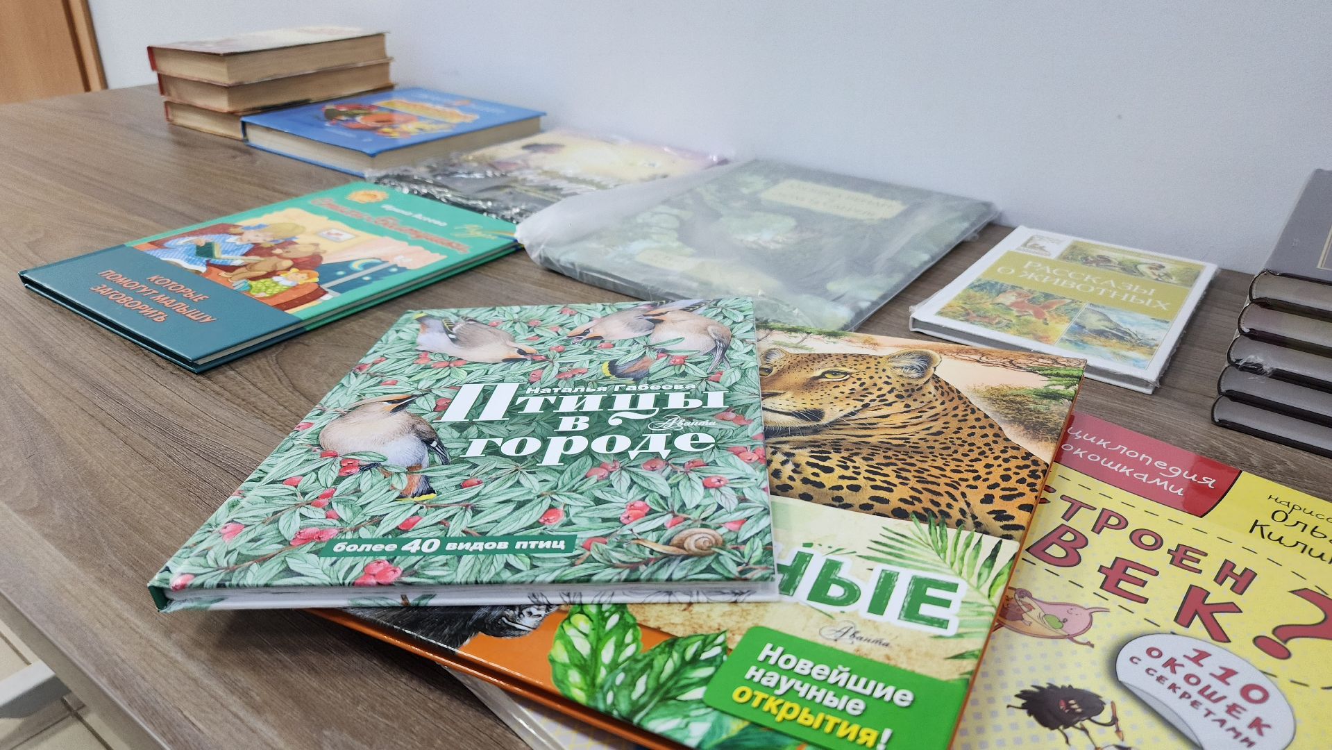 волоколамск, акция, благотворительность, книги детям донбасса,