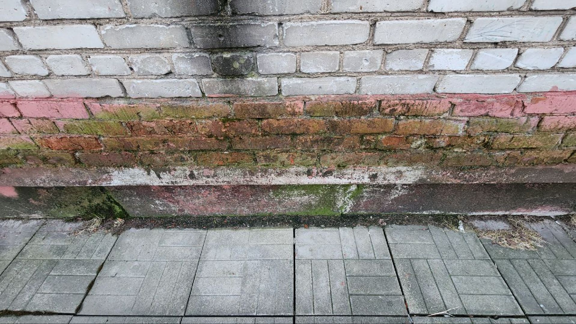 Дмитров, Деденево, Выездная администрация,