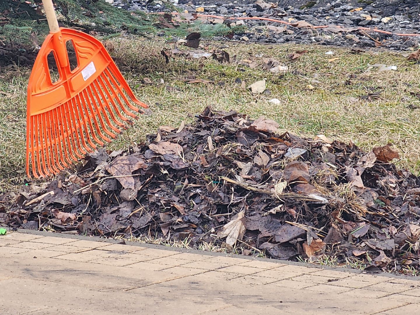 королёв, уборка, улица,