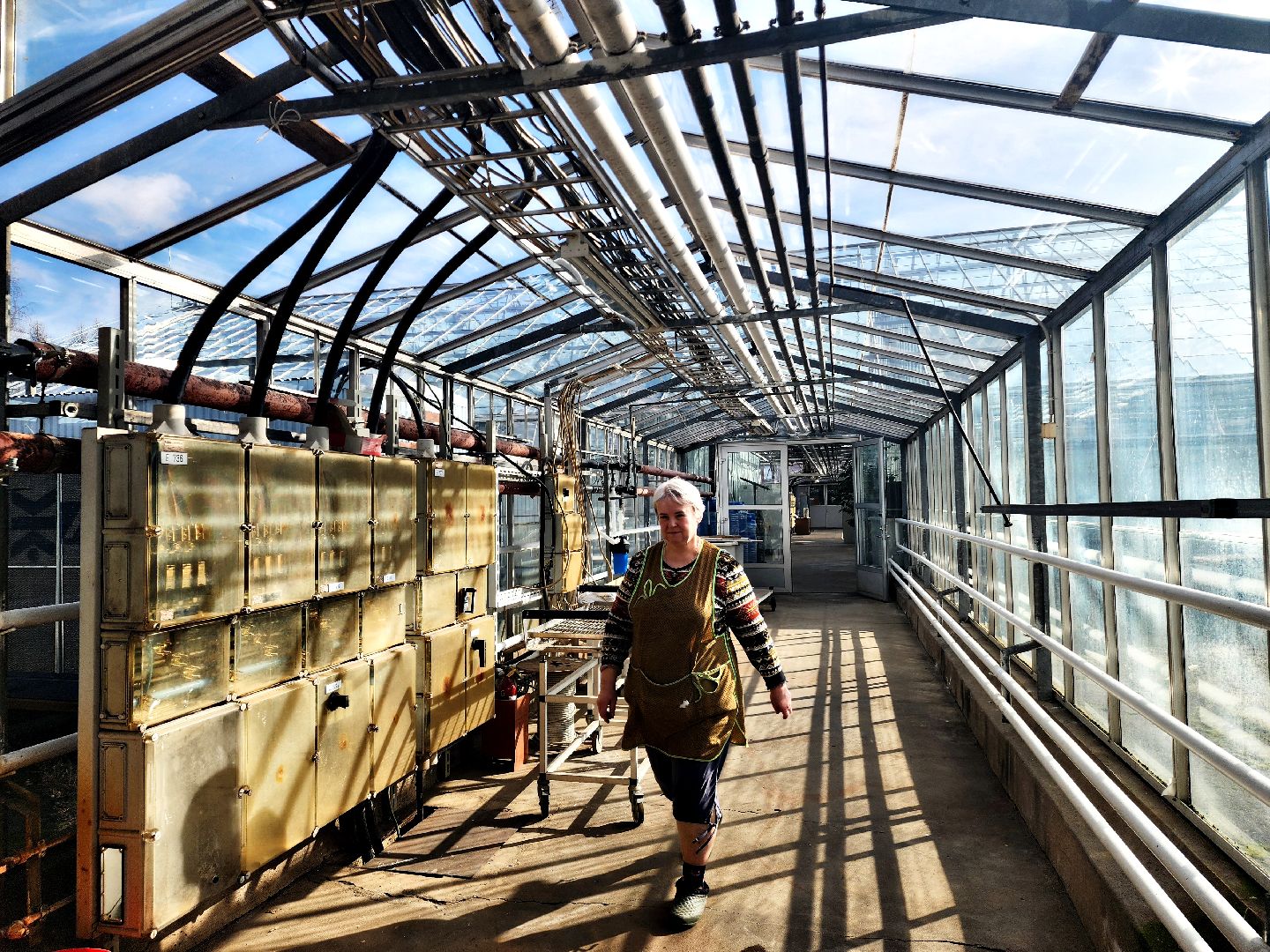 пущино, серпухов, наука,