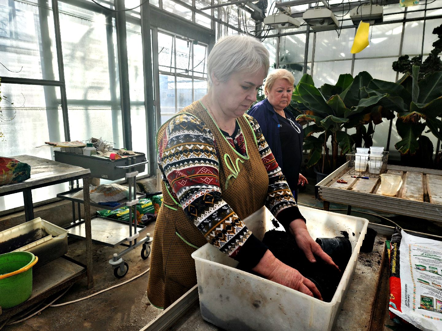 пущино, серпухов, наука,