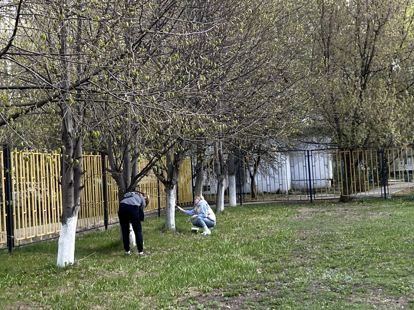 Химки, СОШ №18, школа, субботник, благоустройство, уборка