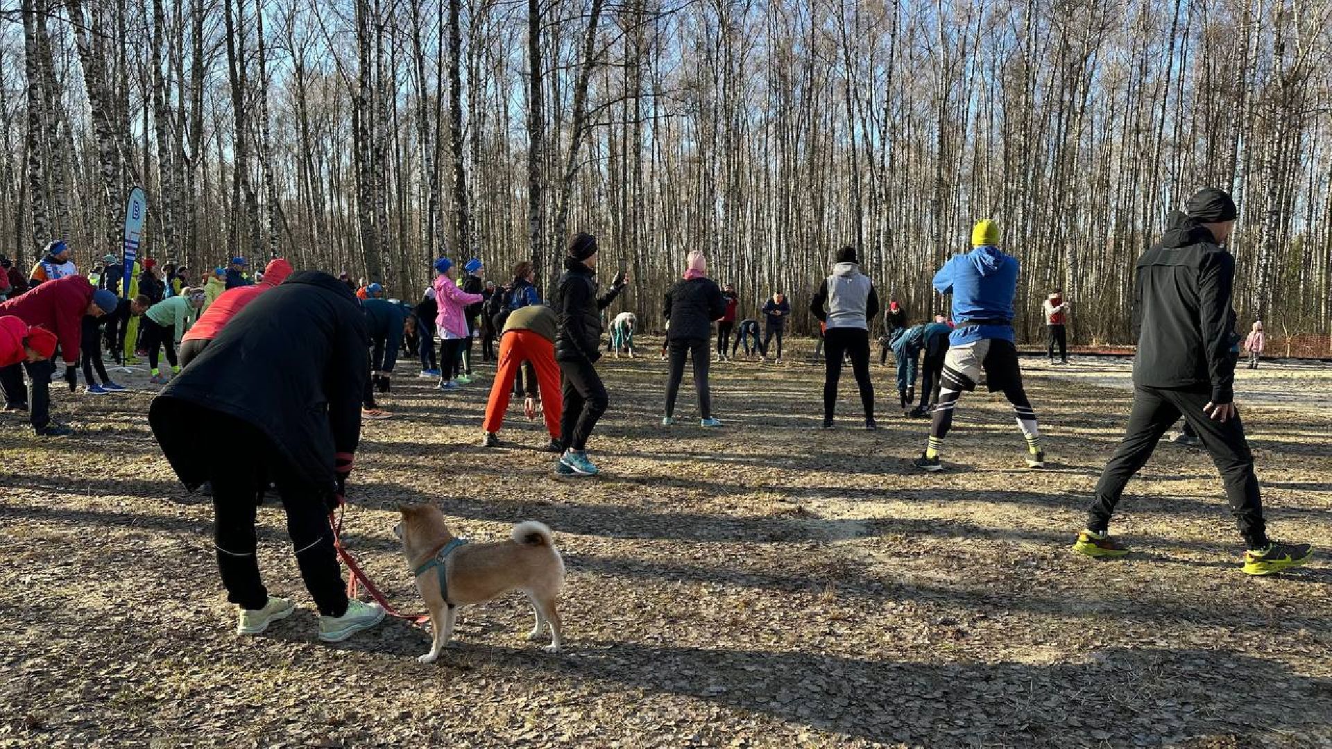5 верст, спорт, домодедово,