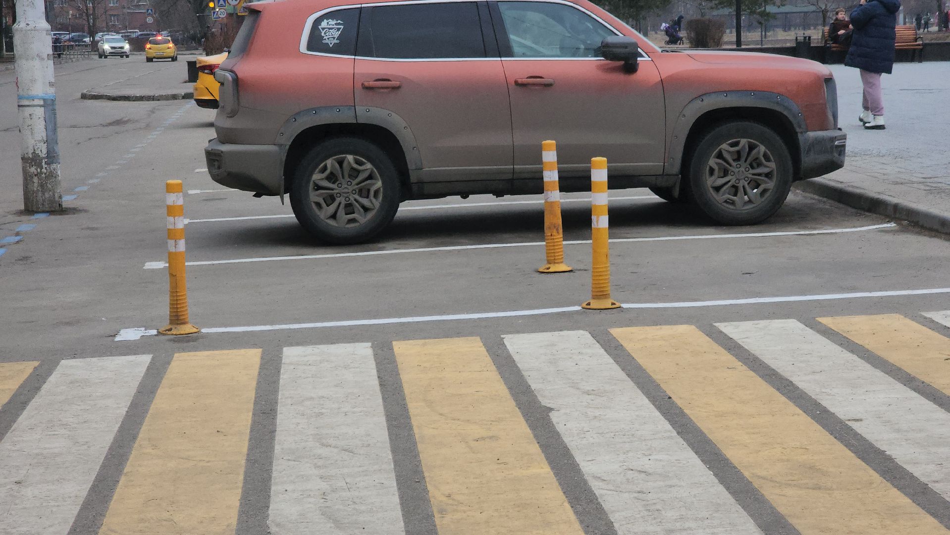 долгопрудный, платные парковки, парковки для инвалидов, центральный парк, дорожная разметка,