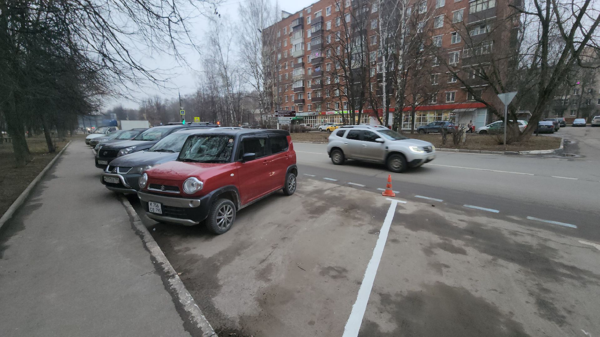 долгопрудный, платные парковки, парковки для инвалидов, центральный парк, дорожная разметка,