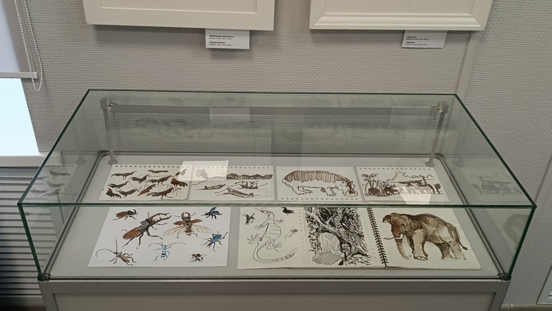 заслуженный художник россии, Выставка, галерея, щёлково,