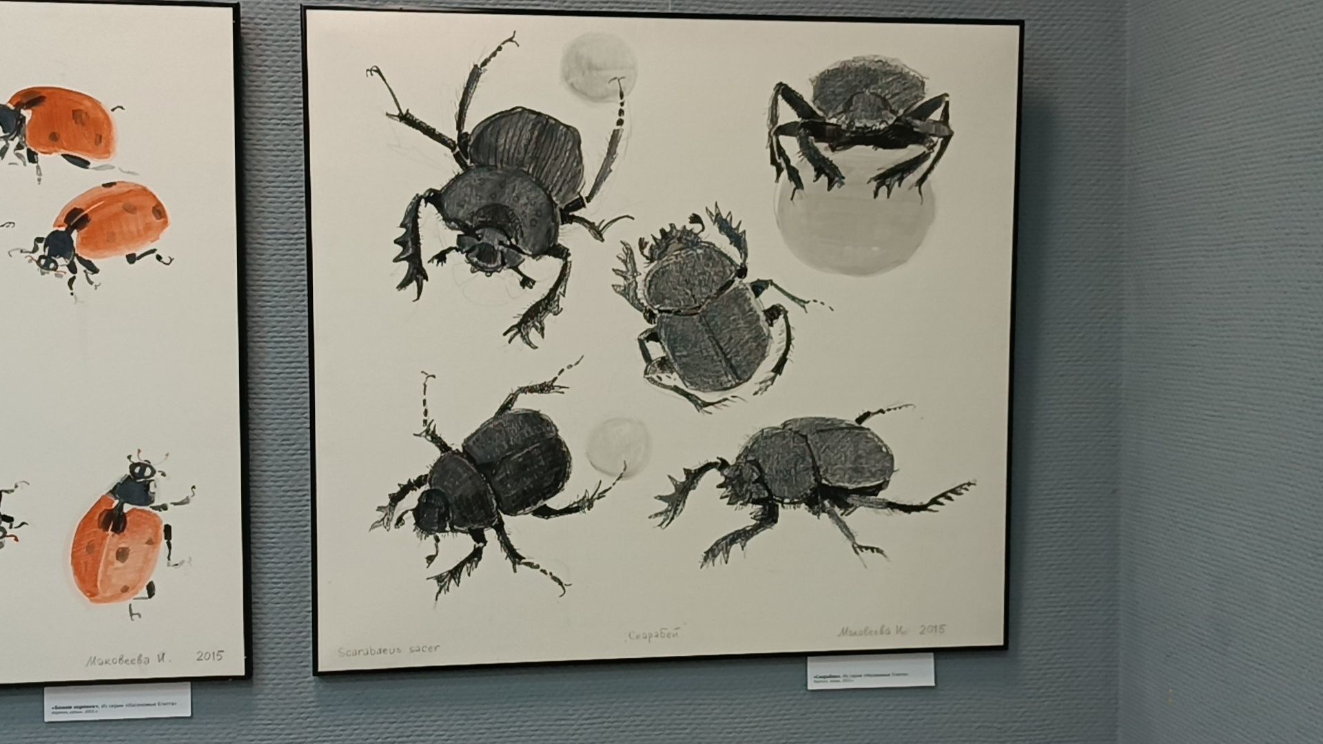 заслуженный художник россии, Выставка, галерея, щёлково,