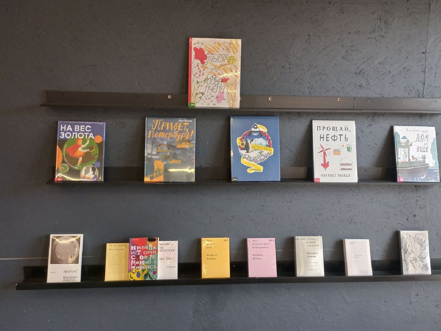 сергиев посад, трикотажка, книги, издательство ad marginem, книжный маркет, михаил семенов,