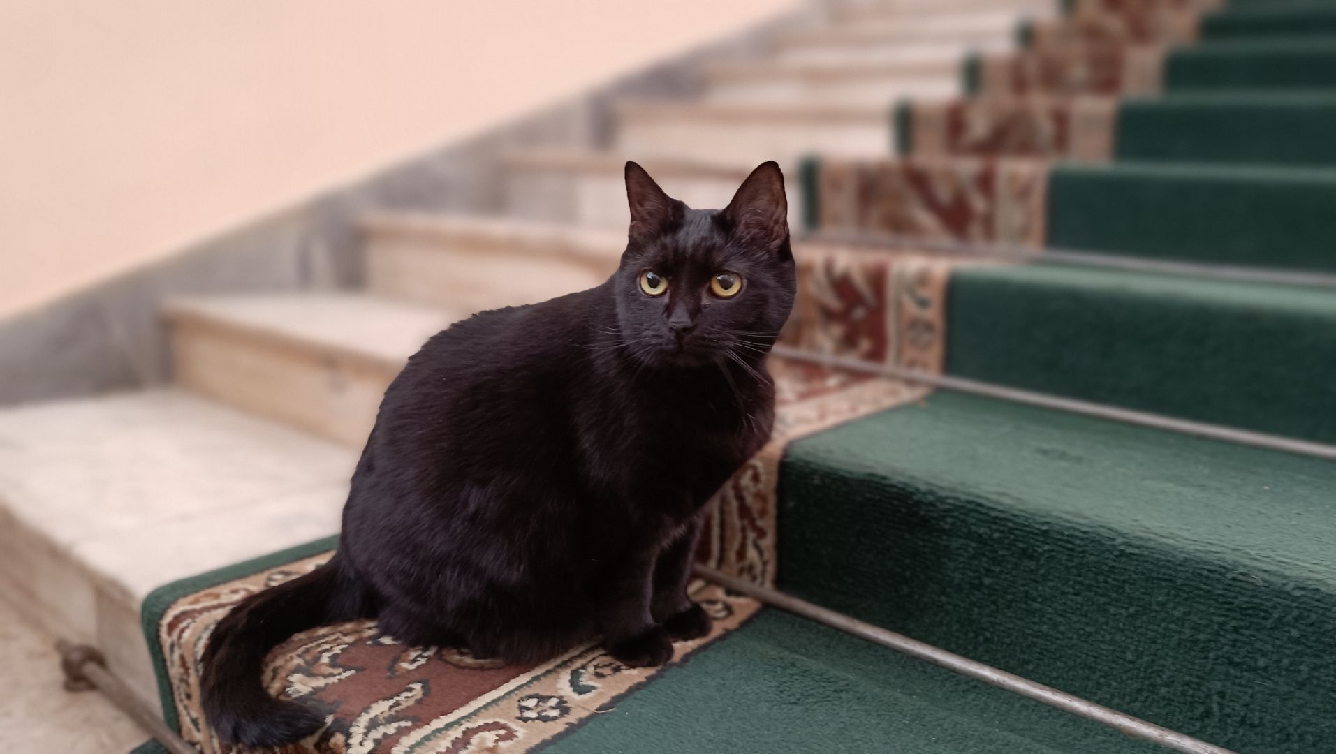 лобня, сельское хозяйство, наука, фотография,