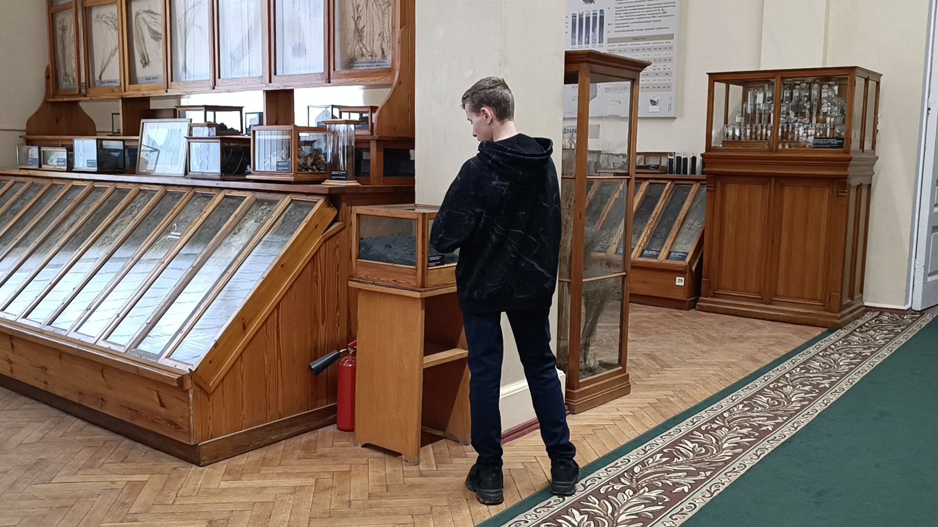 лобня, сельское хозяйство, наука, фотография,