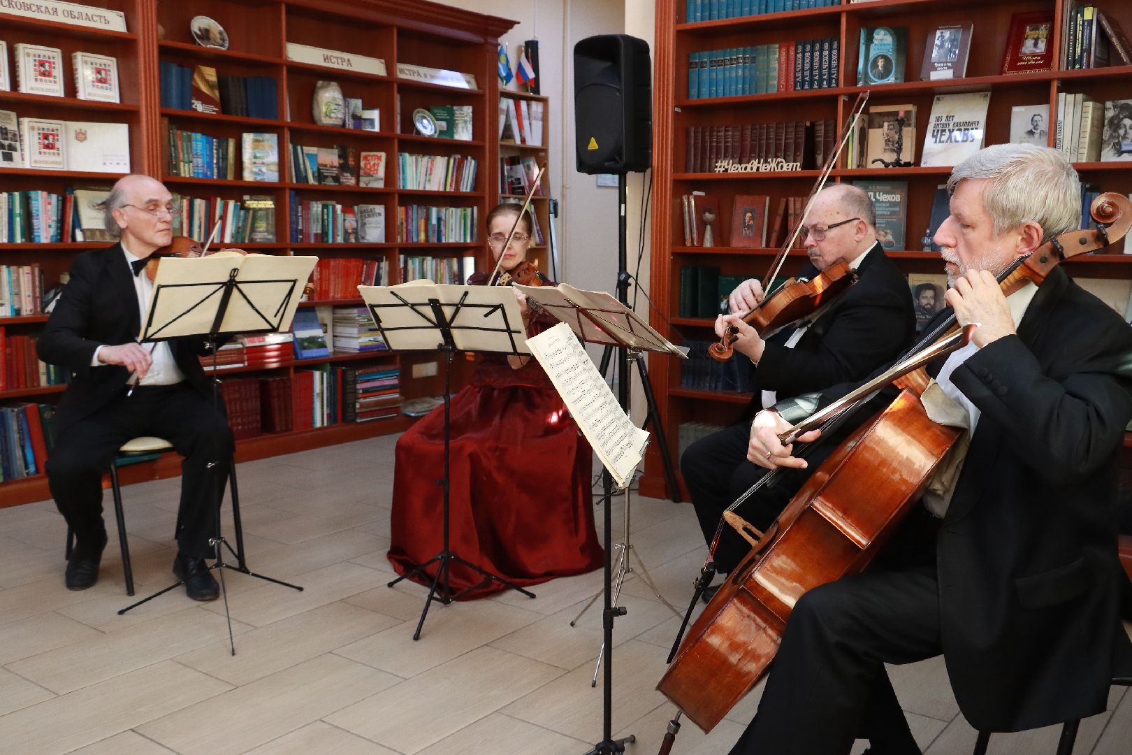 истра, культура, библиотека, концерт,