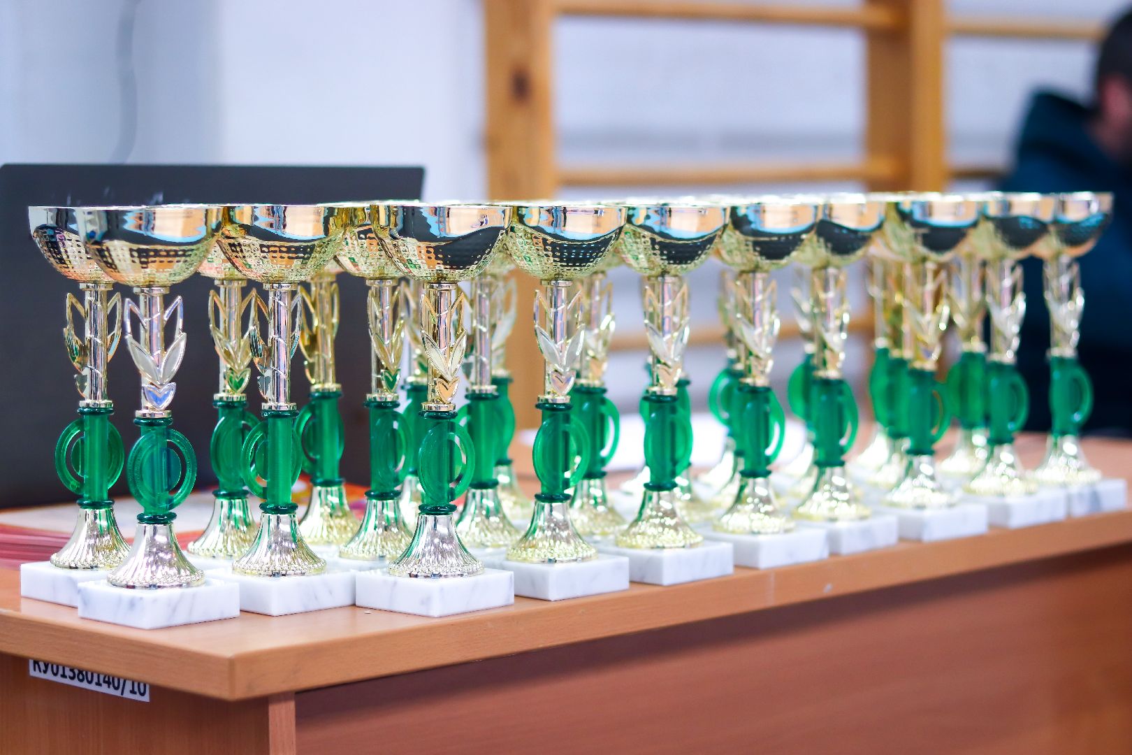 Клин, общество, греко-римская борьба, Федерация спортивной борьбы, соревнования, спорт детям,