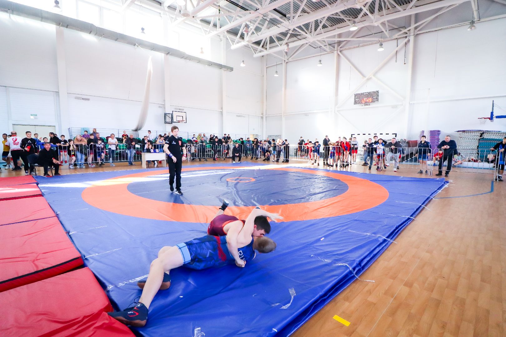 Клин, общество, греко-римская борьба, Федерация спортивной борьбы, соревнования, спорт детям,
