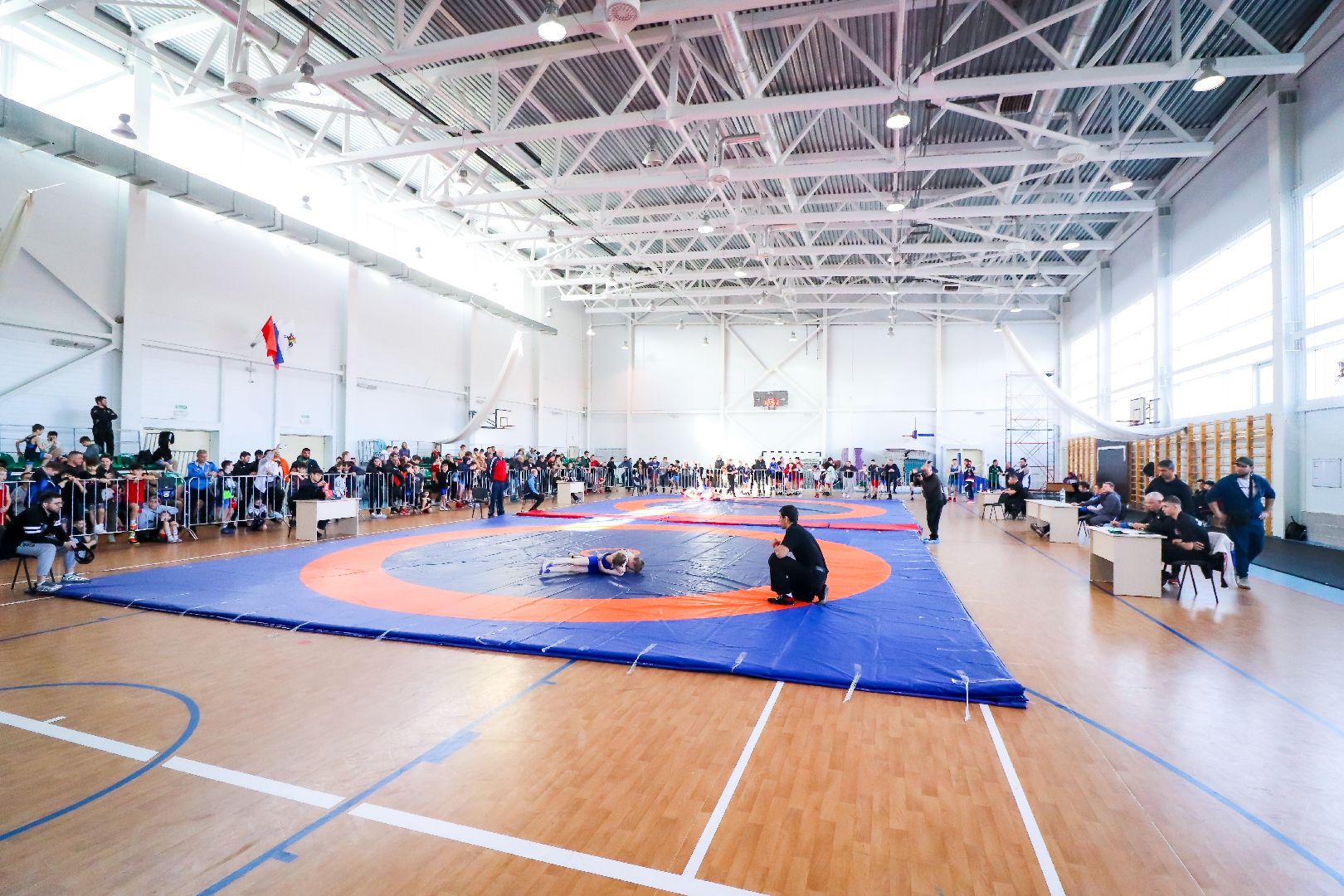 Клин, общество, греко-римская борьба, Федерация спортивной борьбы, соревнования, спорт детям,