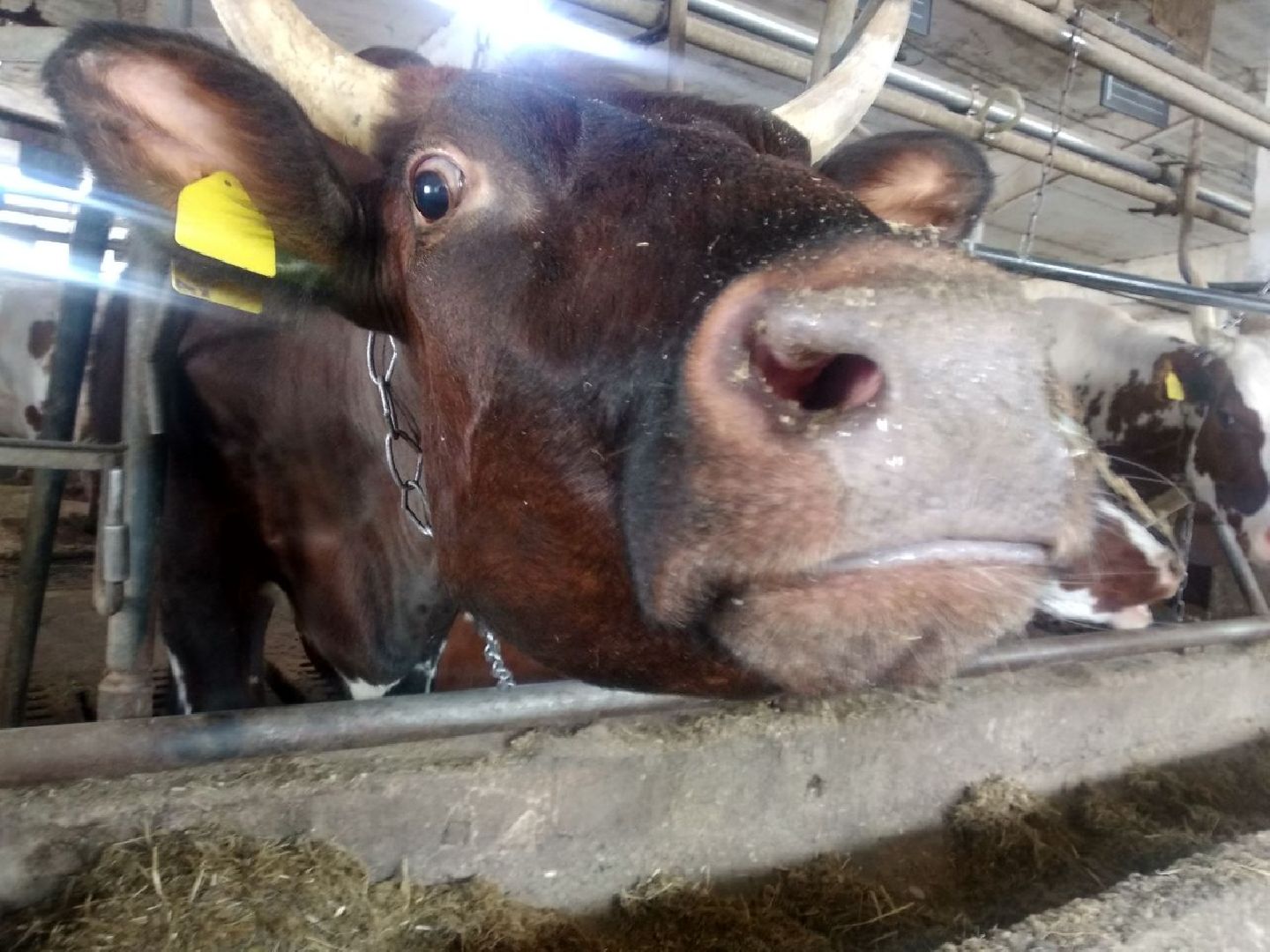 Дмитров, Мосагрофуд, Минсельхоз МО