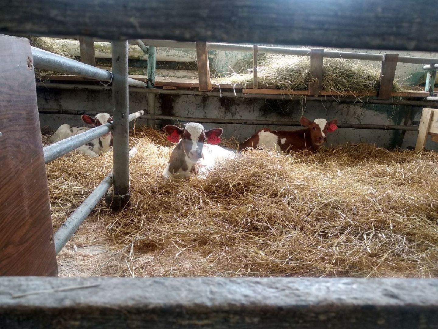 Дмитров, Мосагрофуд, Минсельхоз МО