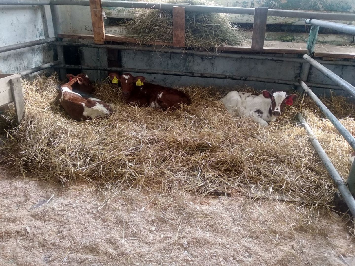 Дмитров, Мосагрофуд, Минсельхоз МО