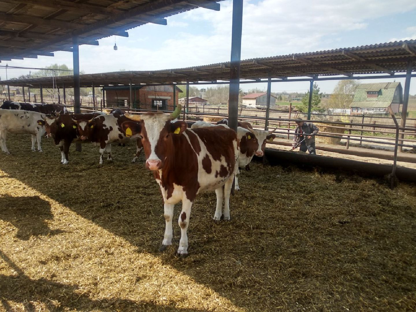 Дмитров, Мосагрофуд, Минсельхоз МО