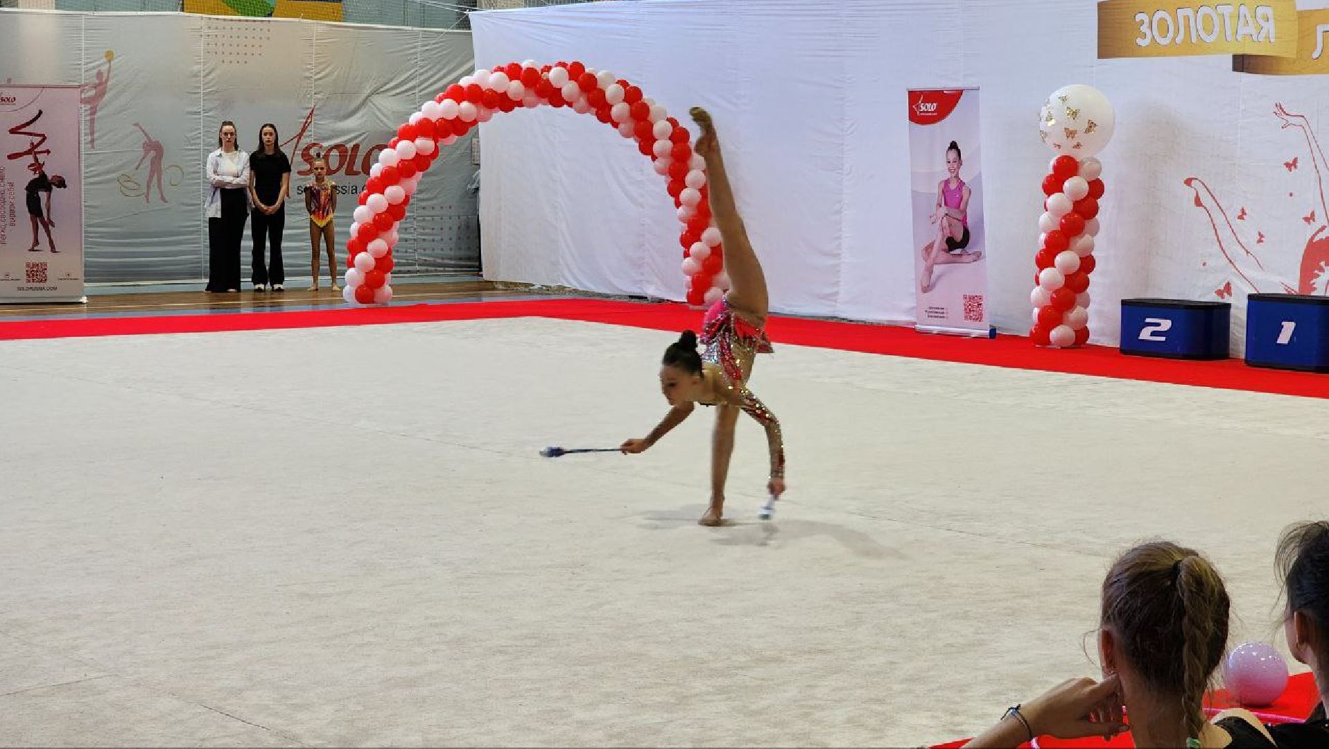 Дмитров, Художественная гимнастика, Минспорта,