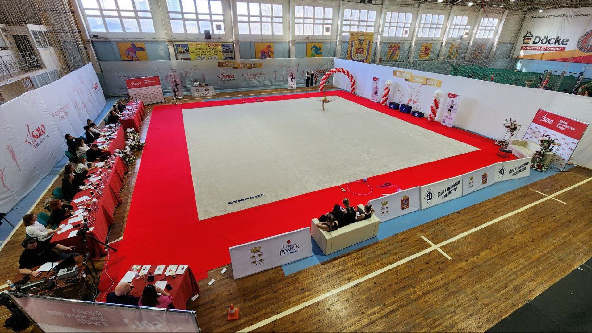 Дмитров, Художественная гимнастика, Минспорта,