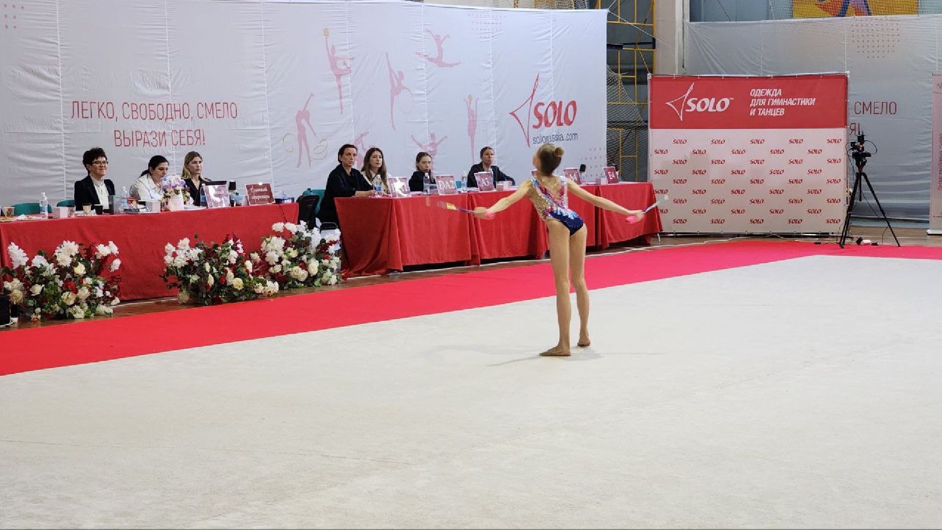 Дмитров, Художественная гимнастика, Минспорта,