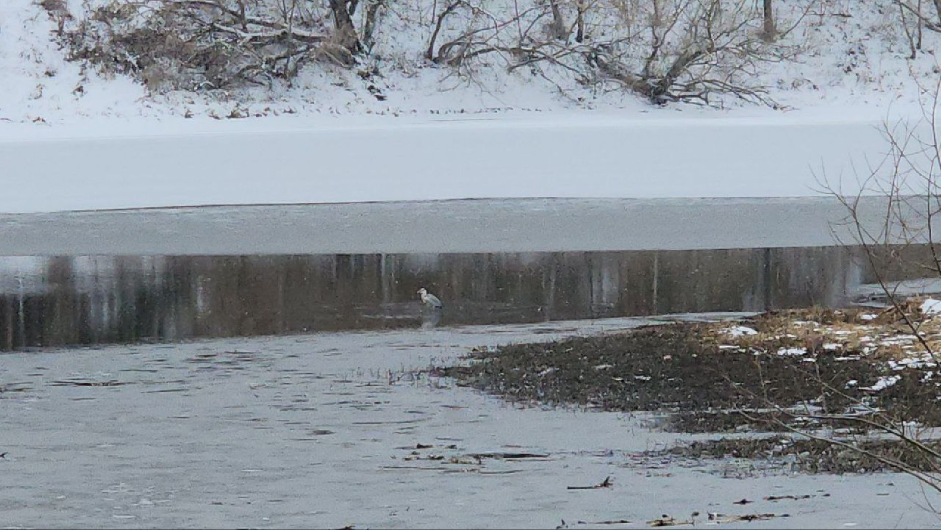 луховицы, озеро исток,
