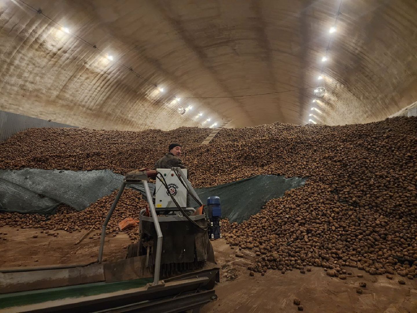 луховицы, сельское хозяйство, СПК Ленина,
