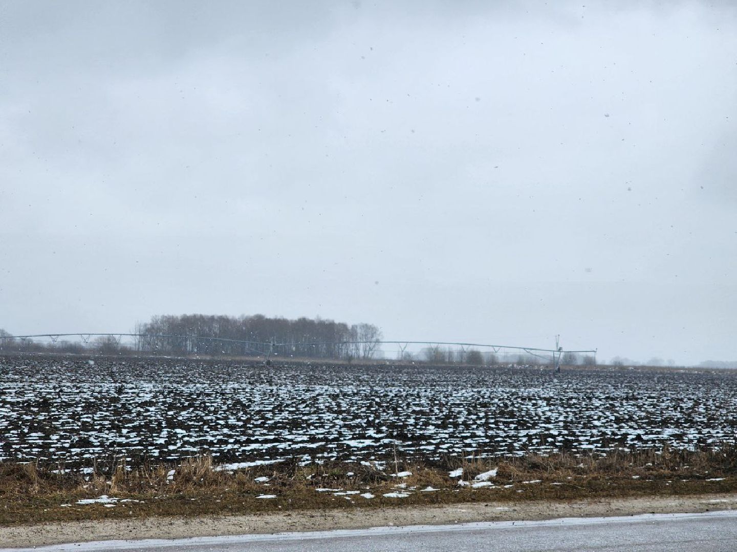 луховицы, сельское хозяйство, СПК Ленина,