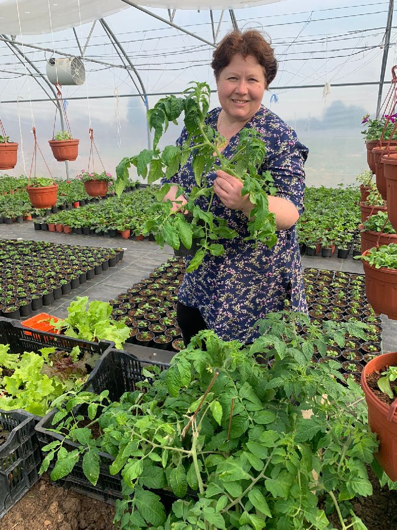 Звенигород, деревня Аксиньино, цветы, бизнес