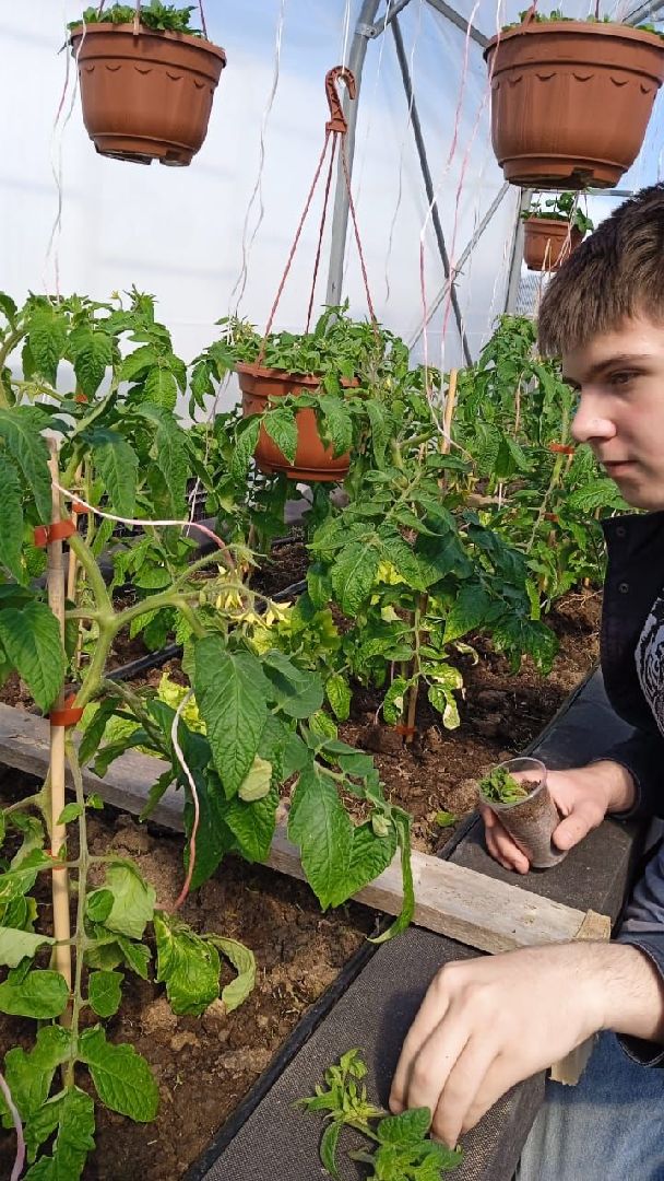 Звенигород, деревня Аксиньино, цветы, бизнес