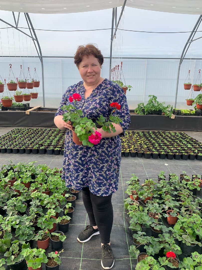 Звенигород, деревня Аксиньино, цветы, бизнес