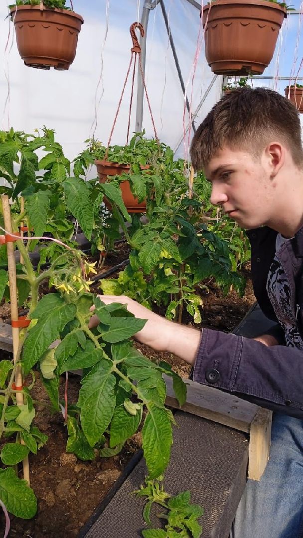 Звенигород, деревня Аксиньино, цветы, бизнес