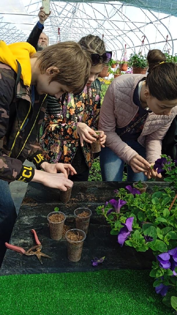 Звенигород, деревня Аксиньино, цветы, бизнес