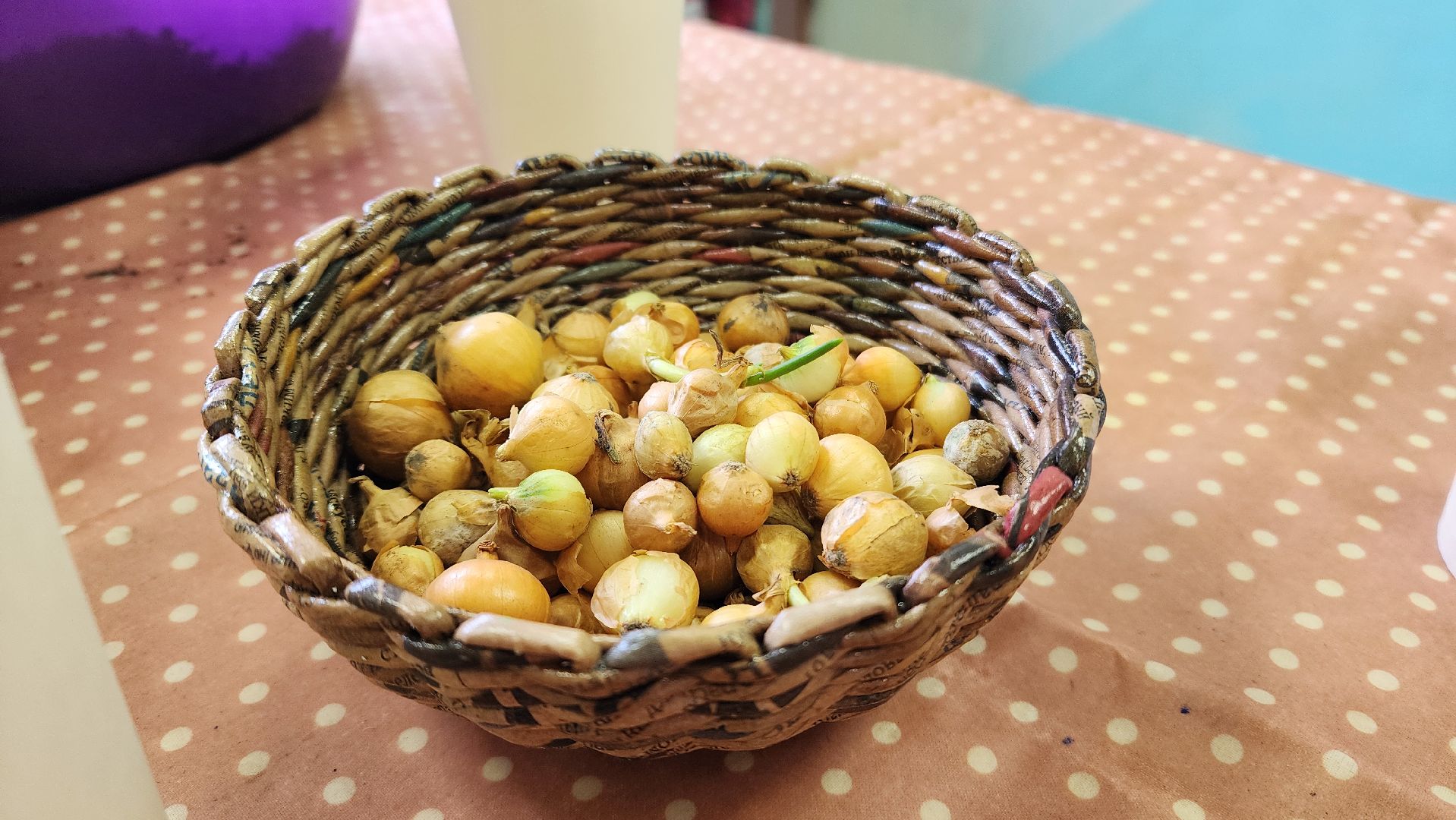 мастер-класс для детей, Высадка лука, Лобня,