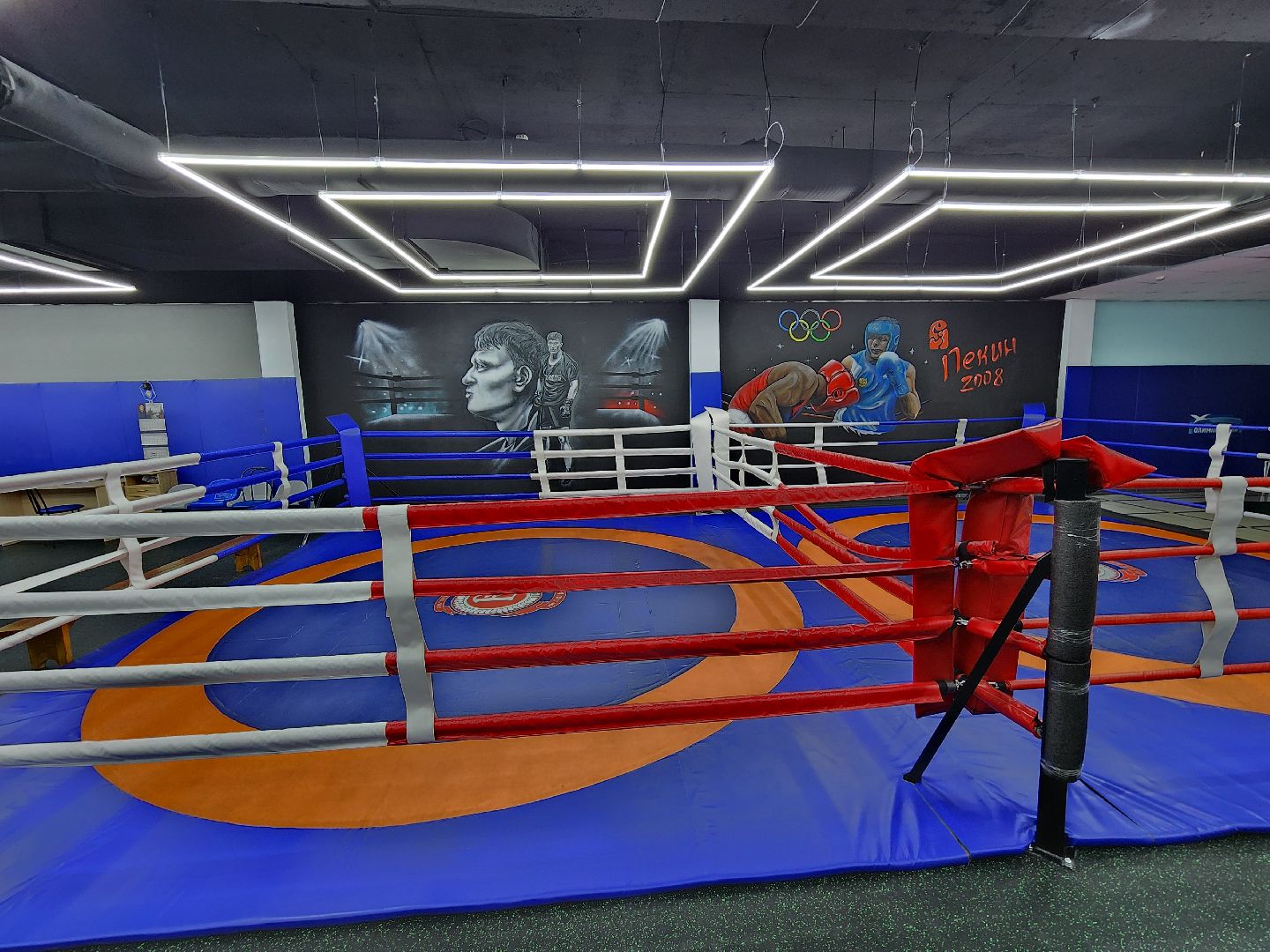 Чехов, боксер Ян Богданов, спортшкола Витязь,сборная России,Кубок мира по боксу, Черногория, победа, первое место,