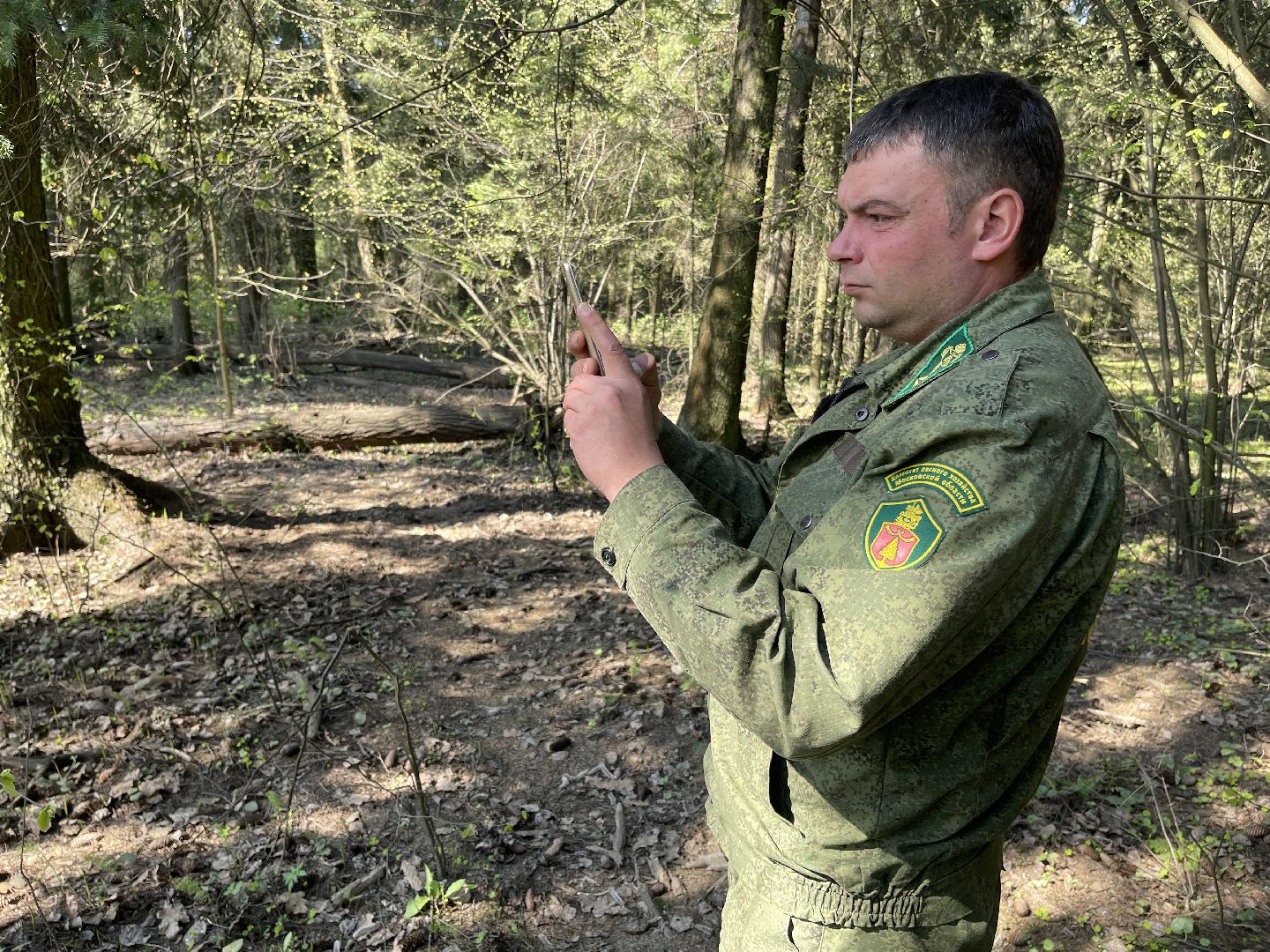 Лес, рейд, мусор, уборка, Юдино, Матвейково, Одинцово, Звенигород, лесничество.