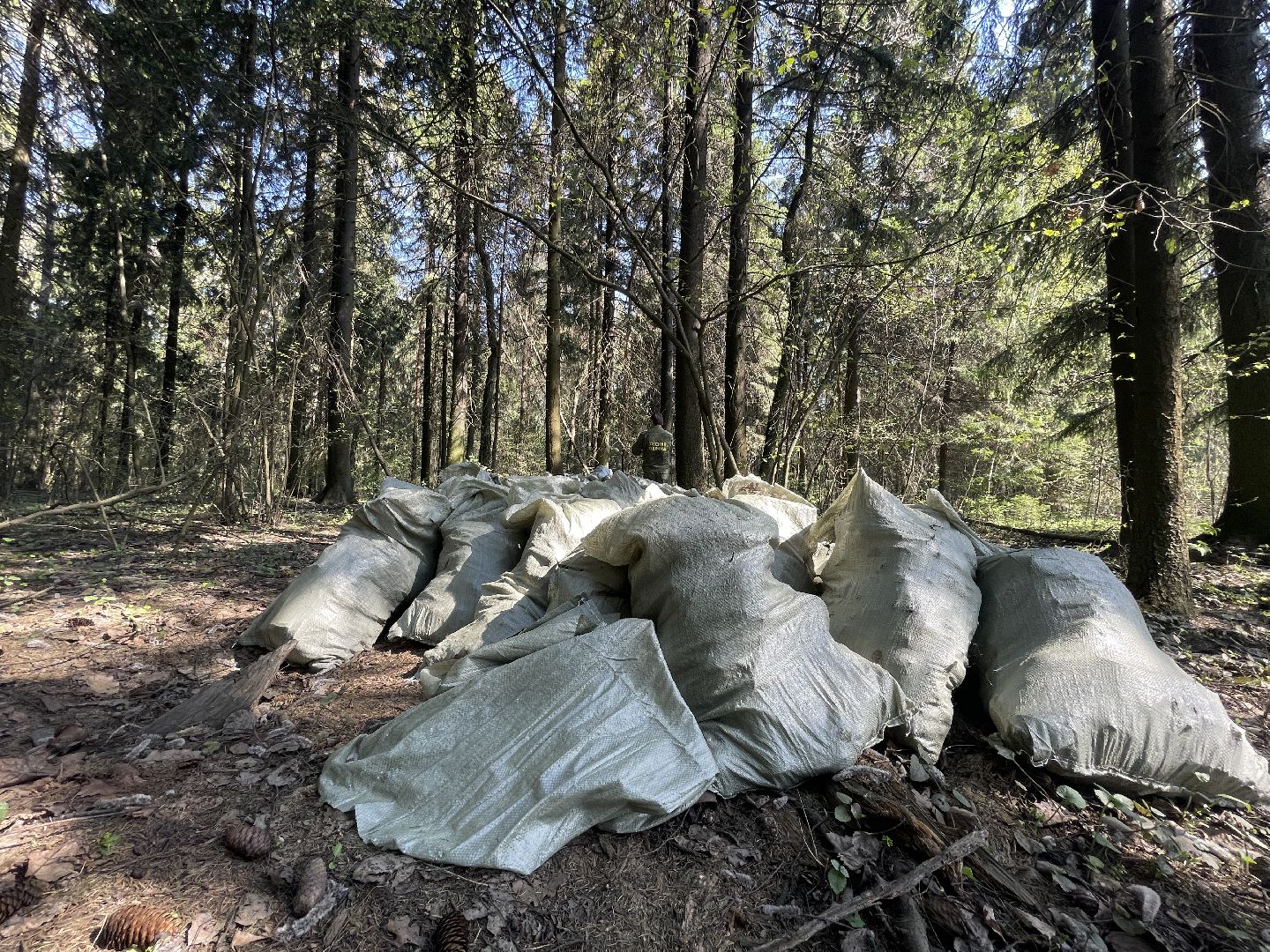 Лес, рейд, мусор, уборка, Юдино, Матвейково, Одинцово, Звенигород, лесничество.