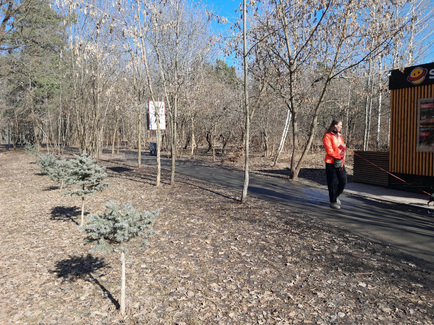 парк, балашиха, семья, прогулки, ольгинский лесопарк,