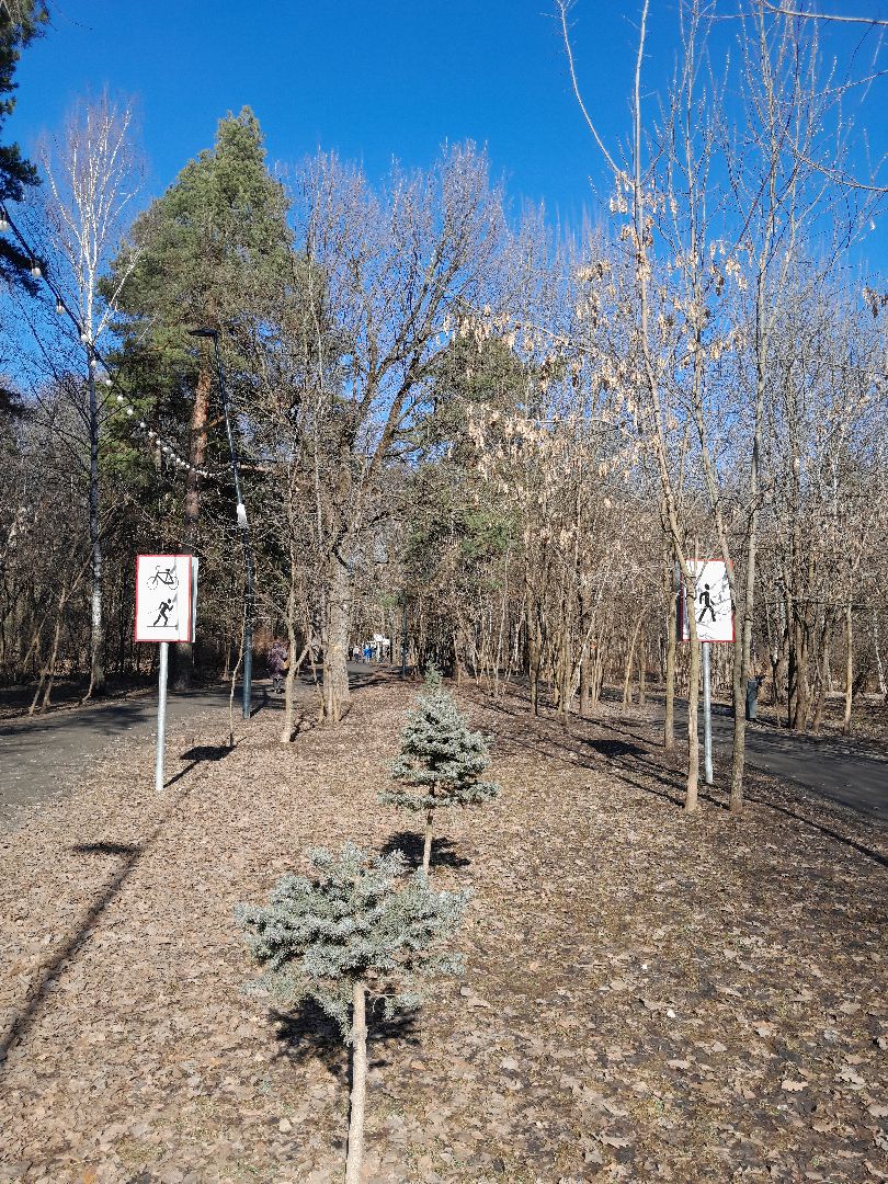 парк, балашиха, семья, прогулки, ольгинский лесопарк,