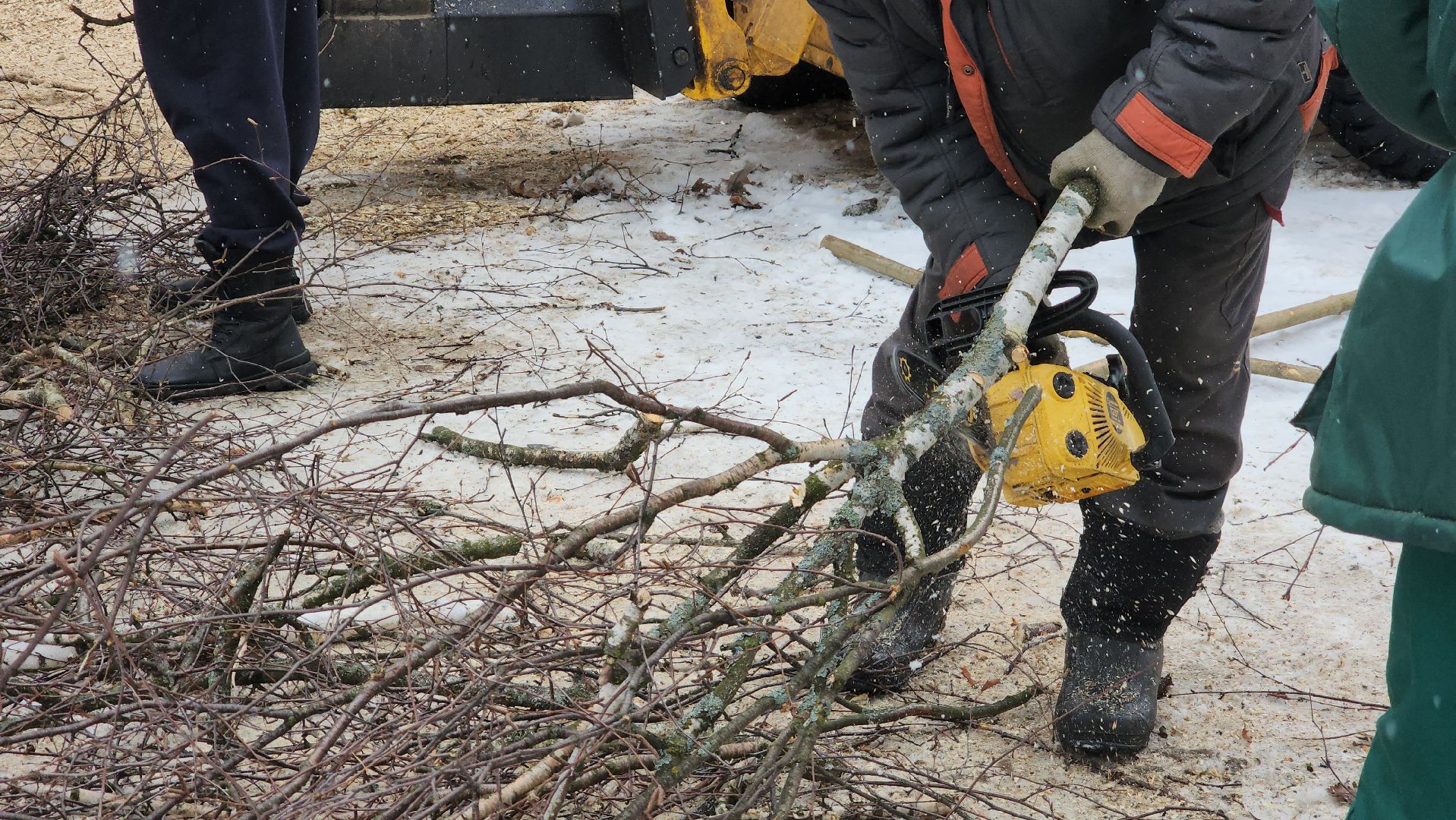 ступино, парки подмосковья, благоустройство,