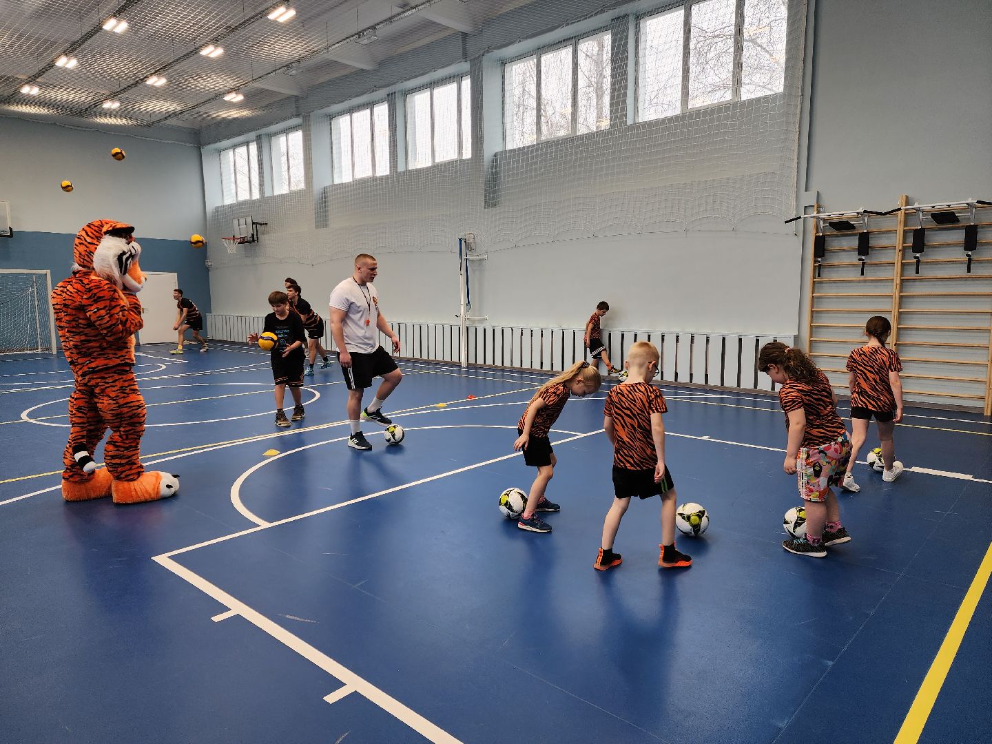 раменское, спорт, спортивный клуб тигры на базе раменского колледжа, набор детей в секции спортивных игр,