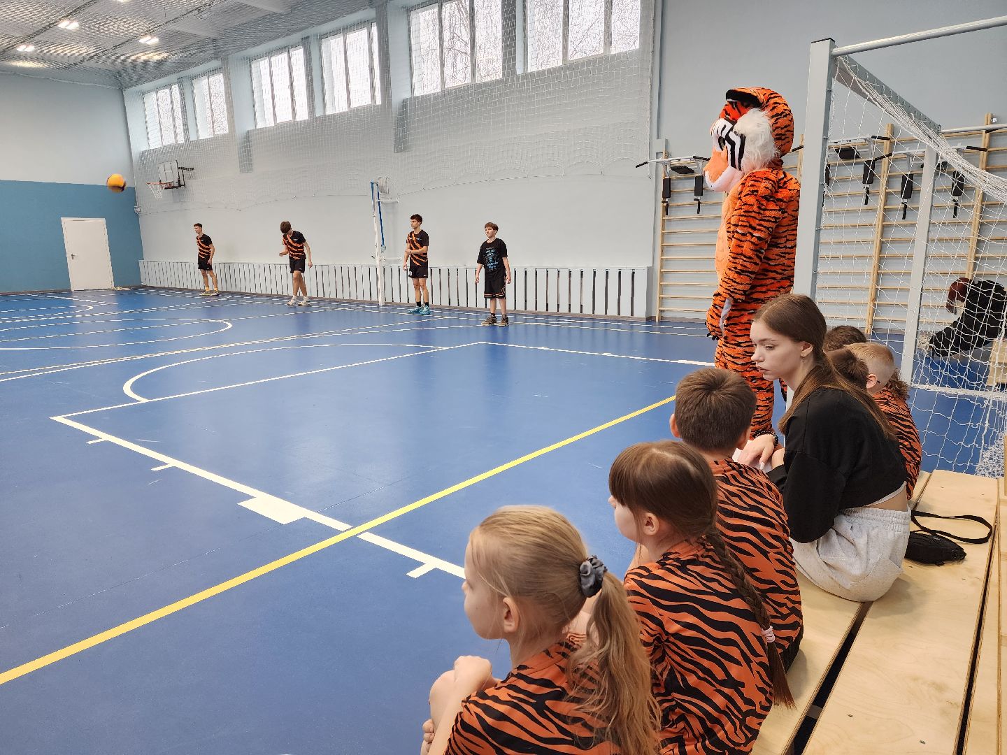 раменское, спорт, спортивный клуб тигры на базе раменского колледжа, набор детей в секции спортивных игр,