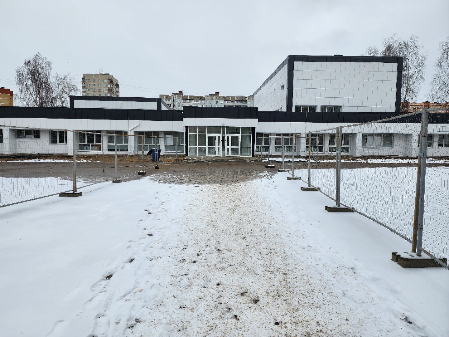 раменское, спорт, спортивный клуб тигры на базе раменского колледжа, набор детей в секции спортивных игр,