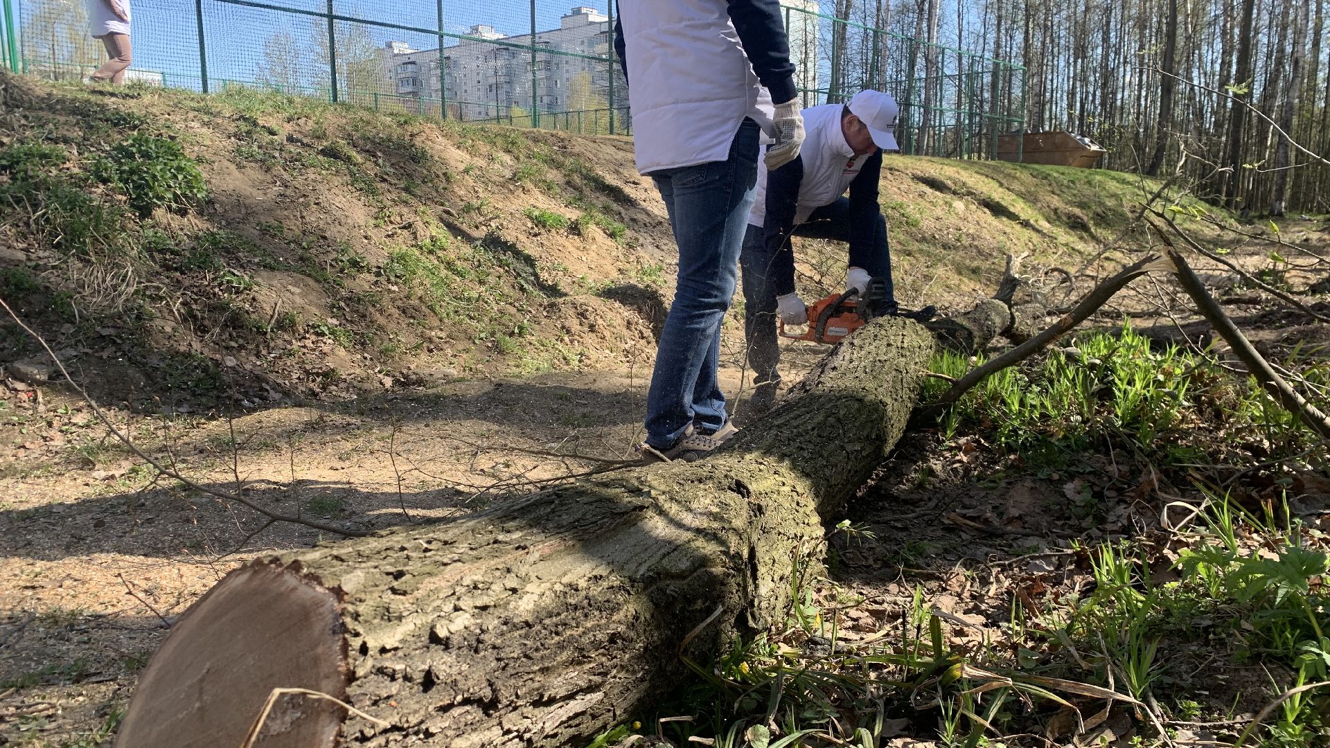 Ступино, глава города, мужальских, субботник