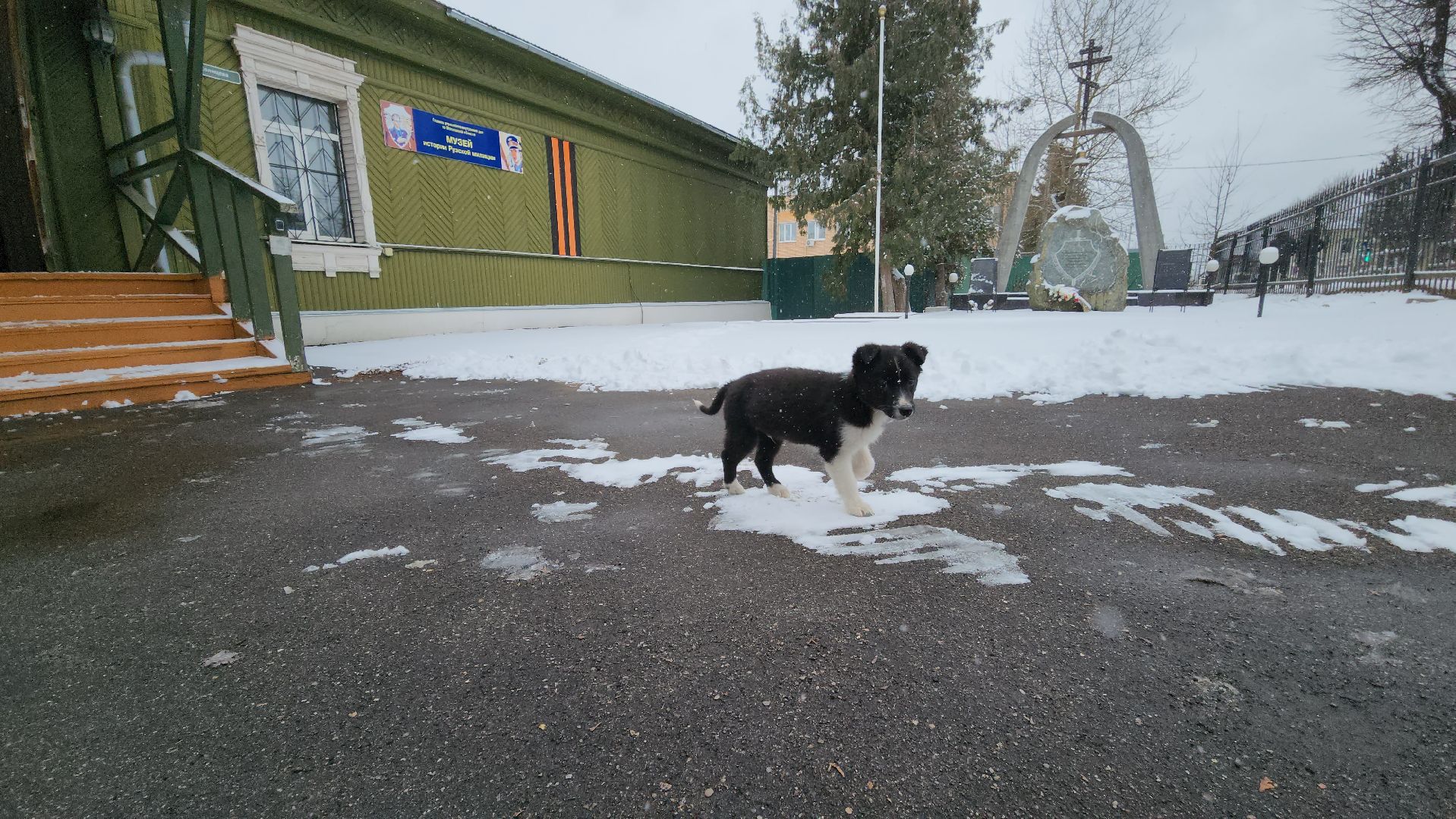 руза, музей милиции, волонтёры, ОМВД, рузский муниципальный округ,
