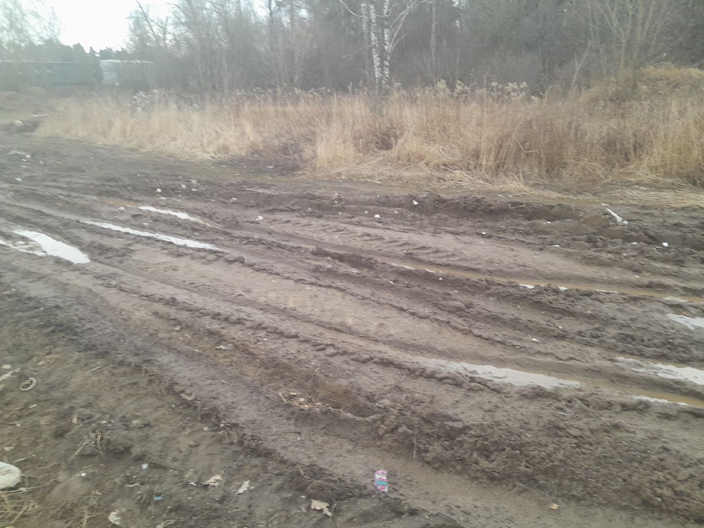 выгул домашних животных, поле, дороги, строительство,