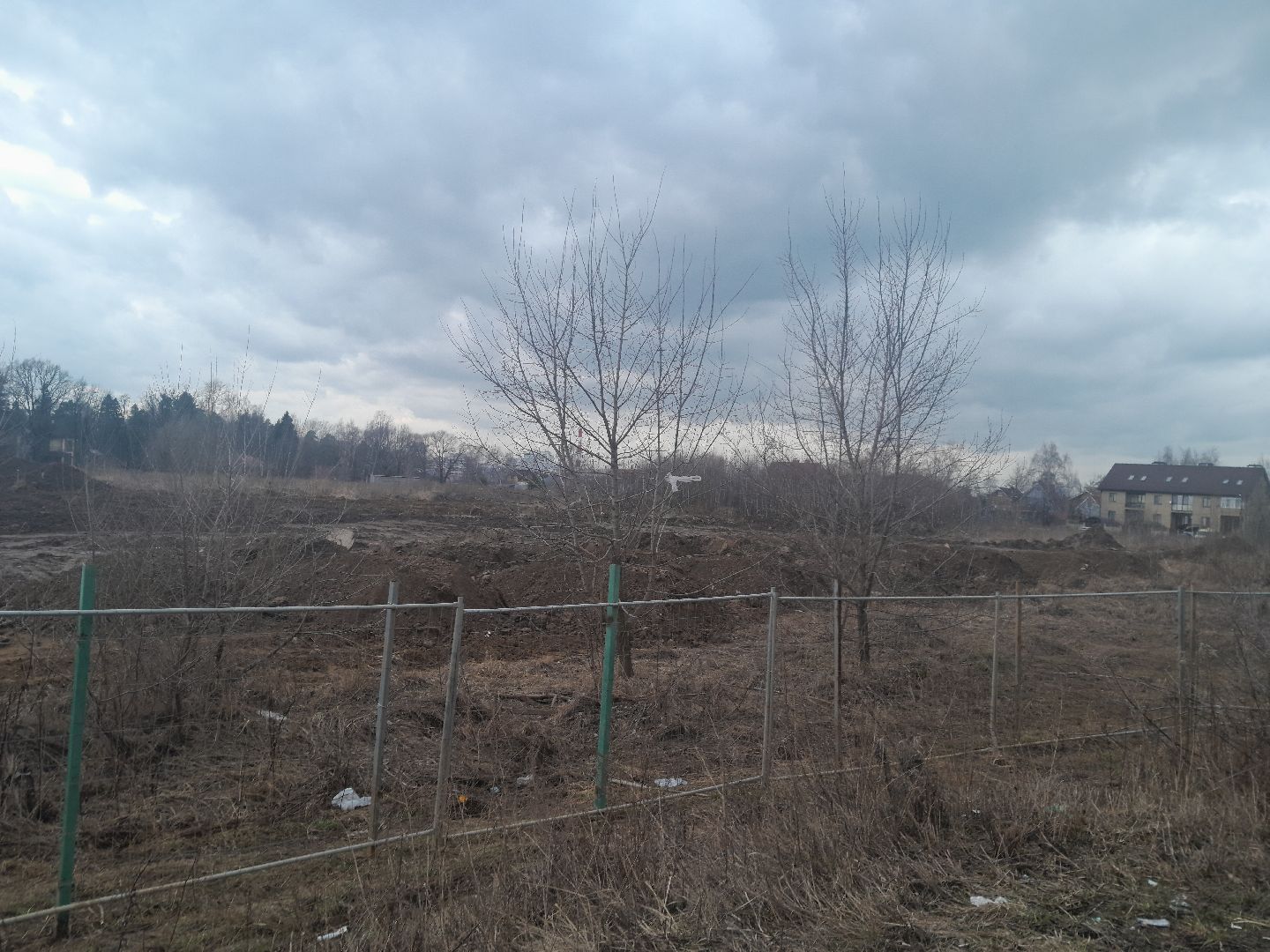 выгул домашних животных, поле, дороги, строительство,