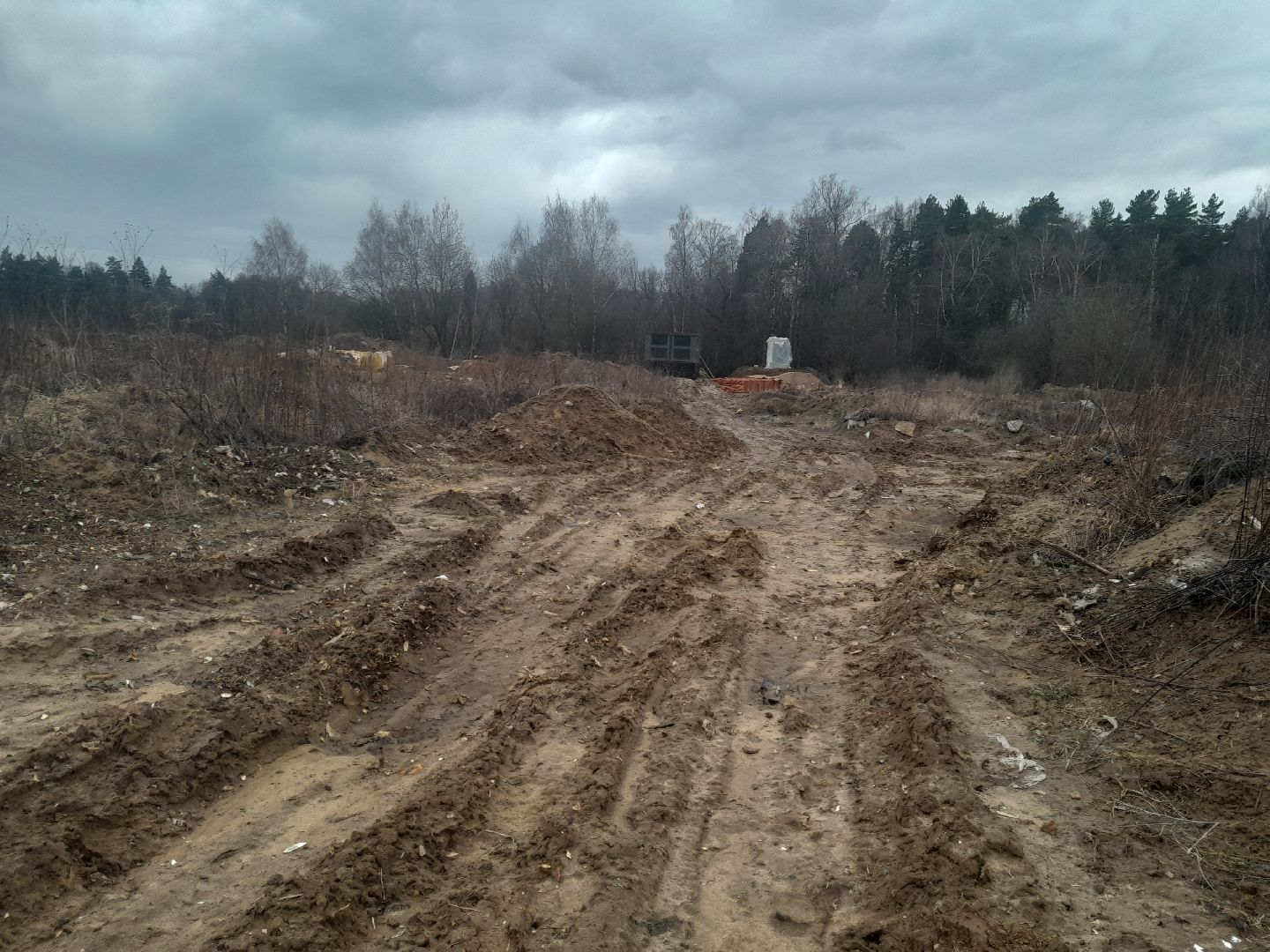 выгул домашних животных, поле, дороги, строительство,