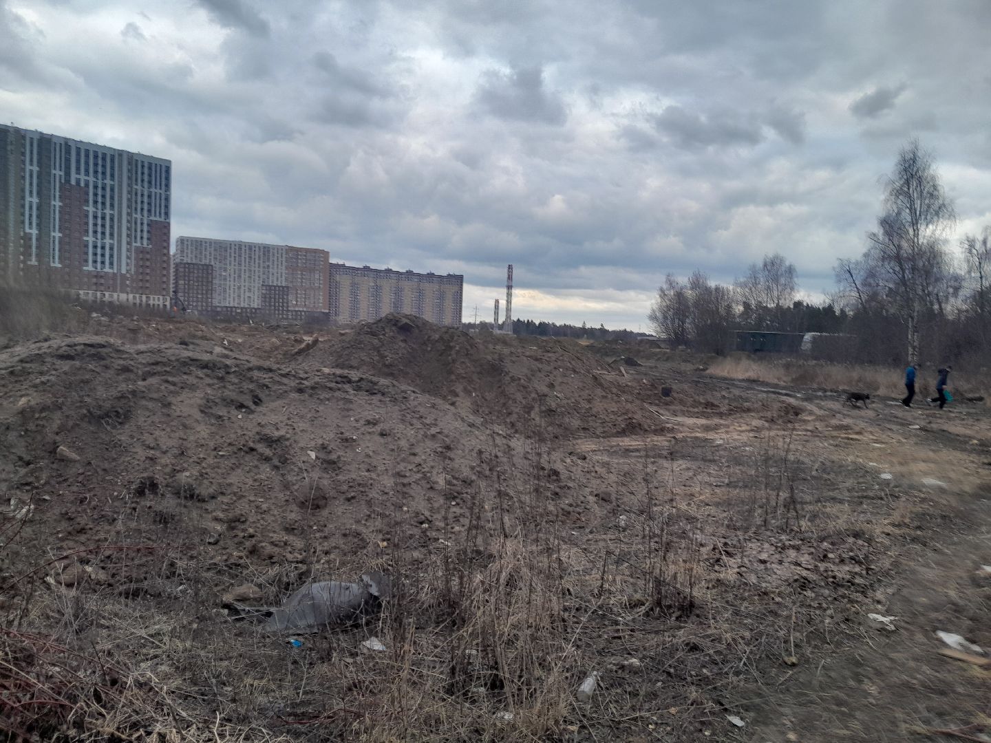 выгул домашних животных, поле, дороги, строительство,